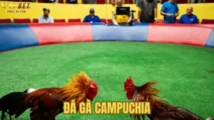 Đá Gà Campuchia tại V6bet: 7 Lợi Ích Không Thể Bỏ Qua