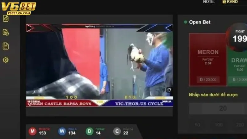 Sản phẩm tiêu biểu ở sảnh đá gà V6bet